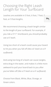 Dakine Surf Leash