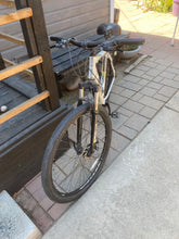 29er Nishiki Colorado