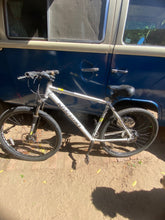 29er Nishiki Colorado